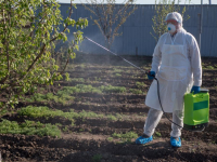 ‼️‼️‼️Внимание: информация для жителей ул. Адлейба в Сухуме
