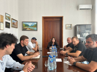 В Сухуме предпринимаются меры по защите растений от американской белой бабочки